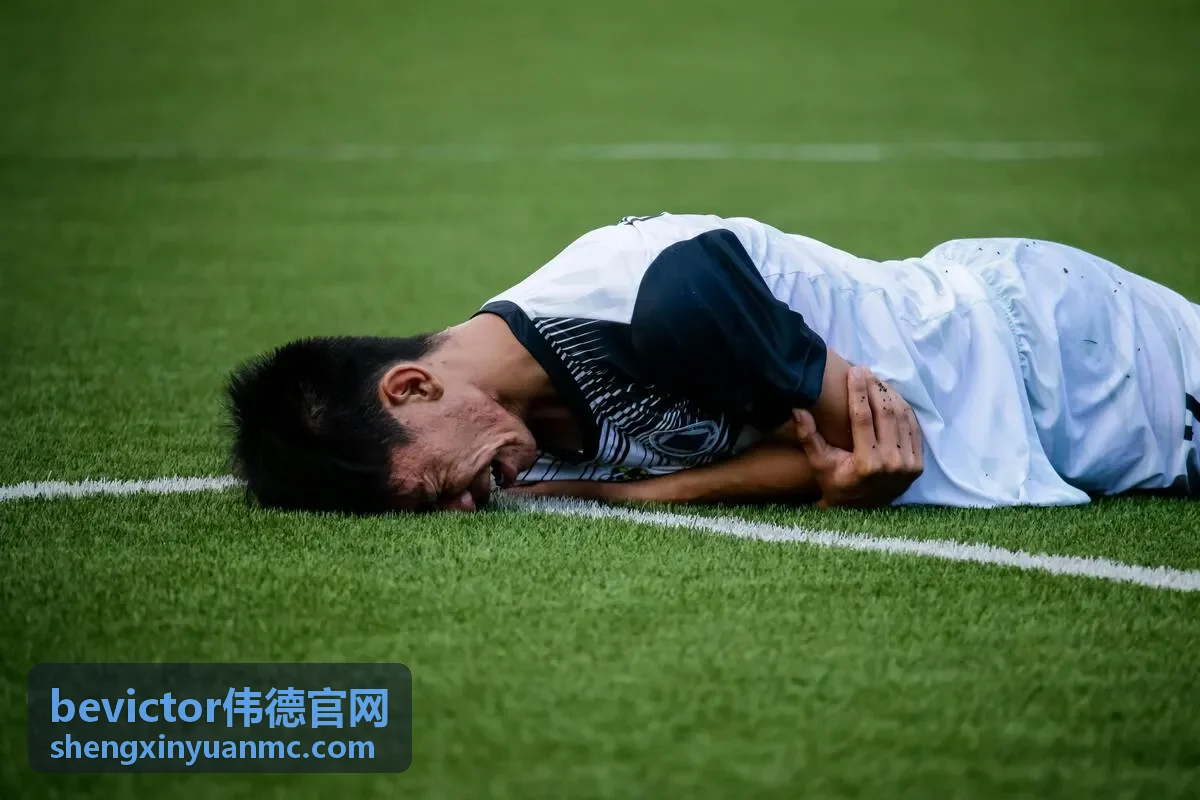 bevictor伟德官网 数字化转型趋势